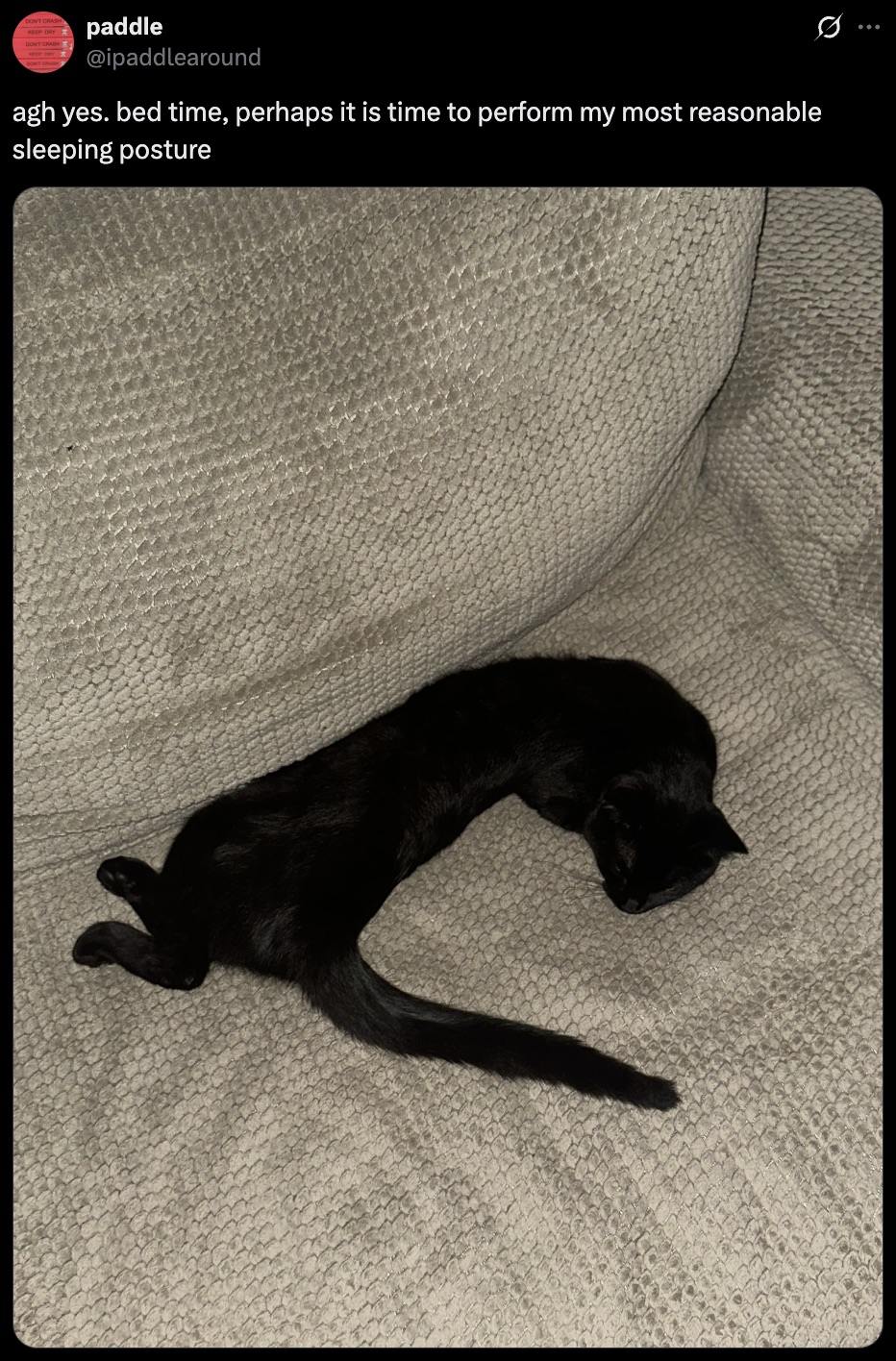 Cats are eternal mysteries